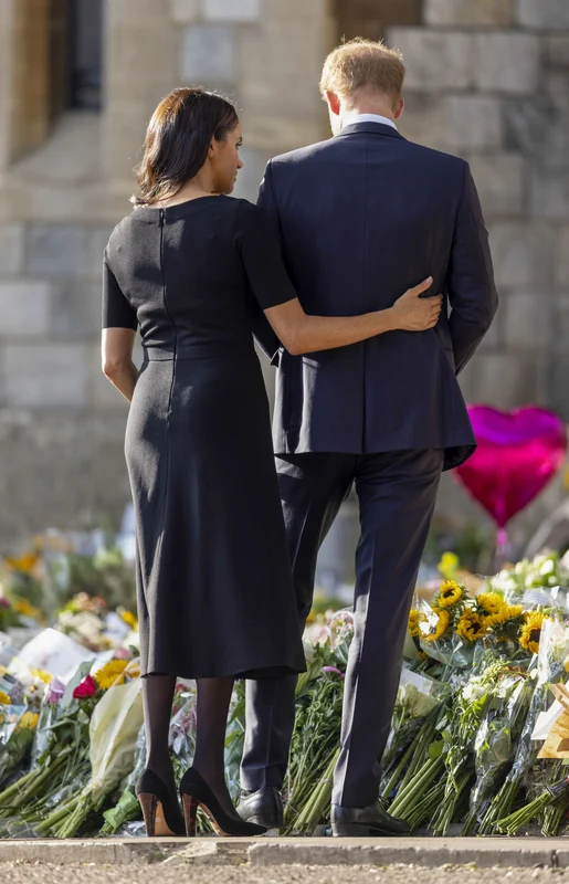 meghan markle prințul harry  sursa   Profimedia jpg