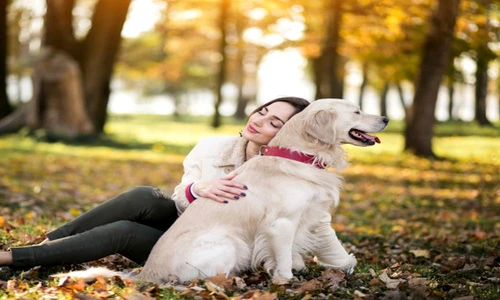 1 79244 original jpg jpeg