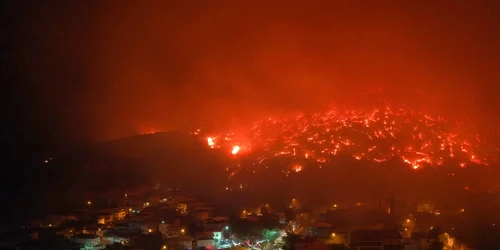 Incendii devastatoare in Bursa, Turcia FOTO Profimedia (6) jpg