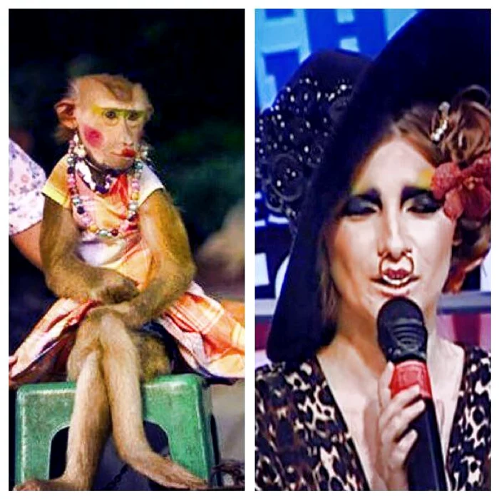 Iulia Albu, comparată de Bianca Drăguşanu cu o maimuţă