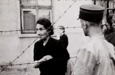 Mărturii vizuale ale Holocaustului  Henryk Ross, foto   jurnalistul care a adus probe la procesul lui Eichmann jpeg