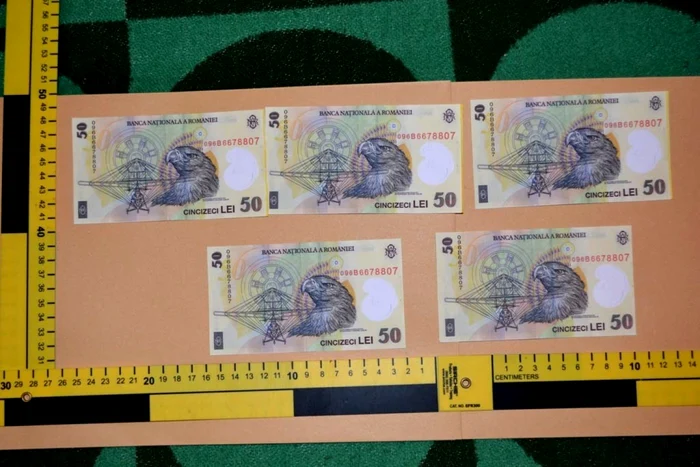 La percheziţia domiciliară, anchetatorii au găsit zeci de bancnote contrafăcute în locuinţa lui Tudorel N. FOTO Poliţia Brăila