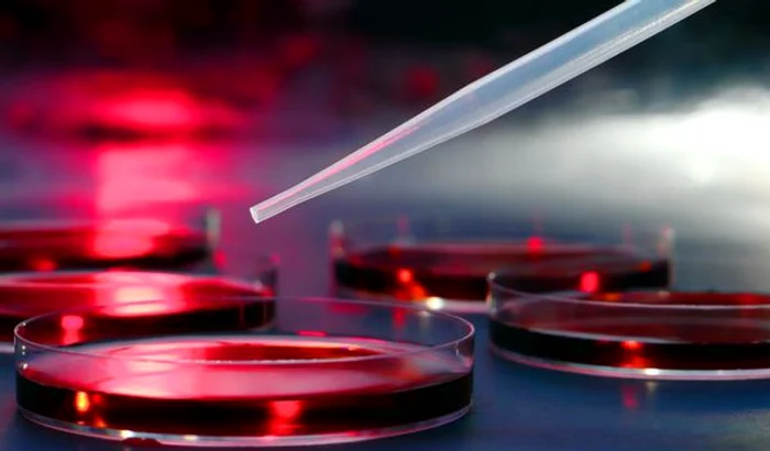 
    Reprezentanții grupei 0 par o fortăreață de neatinsclickpentrufemei.ro  