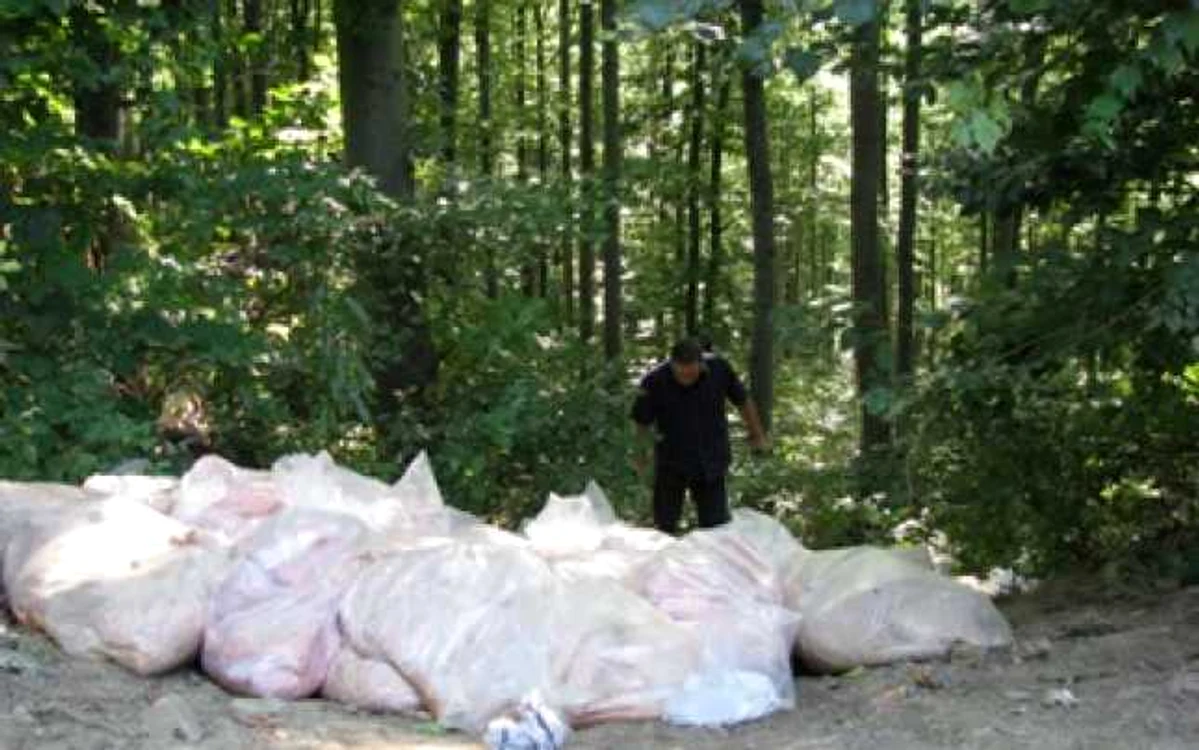 Bacău: Focar de infecţie la marginea drumului
