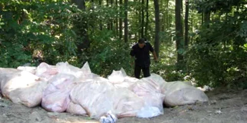 Bacău: Focar de infecţie la marginea drumului