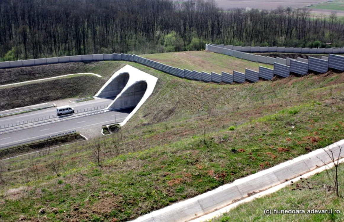 Ecoductul de ep Lotul 4. FOTO: Daniel Guţă. ADEVĂRUL.