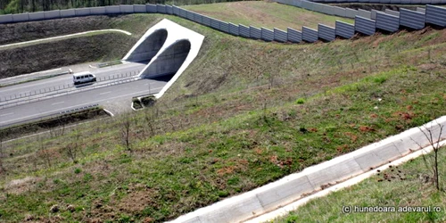 autostrada lugoj deva foto daniel guta