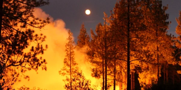 Incendii California 27 iul EPA EFE