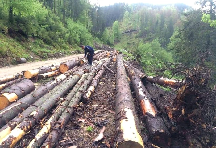 Polițiștii au amendat ilegal femeia FOTO Adevărul