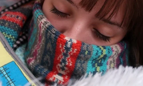 5 pexels photo 266679 jpg jpeg