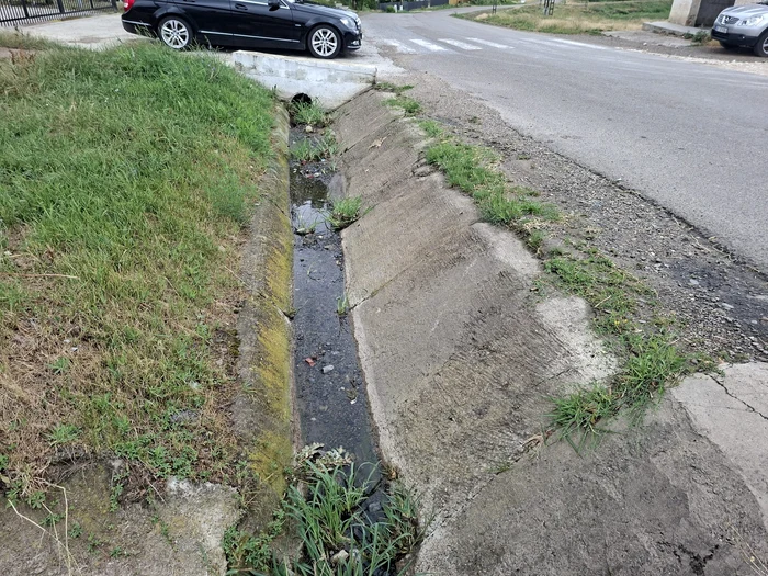 Șanțuri colmatate Botoșani FOTO Cosmin Zamfirache