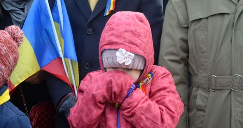 Cocarde Timişoara FOTO Ramona Băluţescu