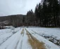 Valea Anineșului Drumul spre Fața Cetei (4) jpg