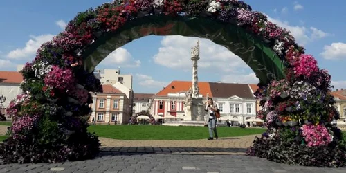Peste 320.000 de flori au inundat centrul Timişoarei FOTO Ş. Both