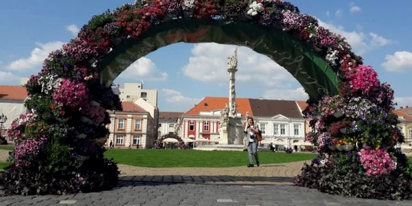 Peste 320.000 de flori au inundat centrul Timişoarei FOTO Ş. Both