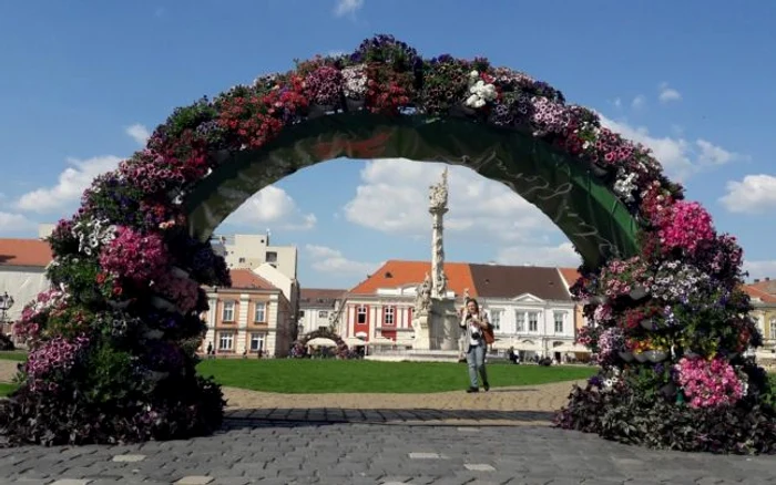 Peste 320.000 de flori au inundat centrul Timişoarei FOTO Ş. Both