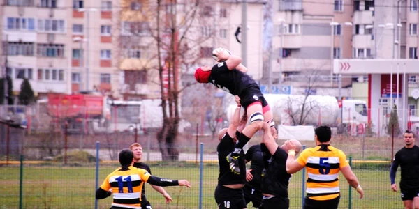 csm stiinta