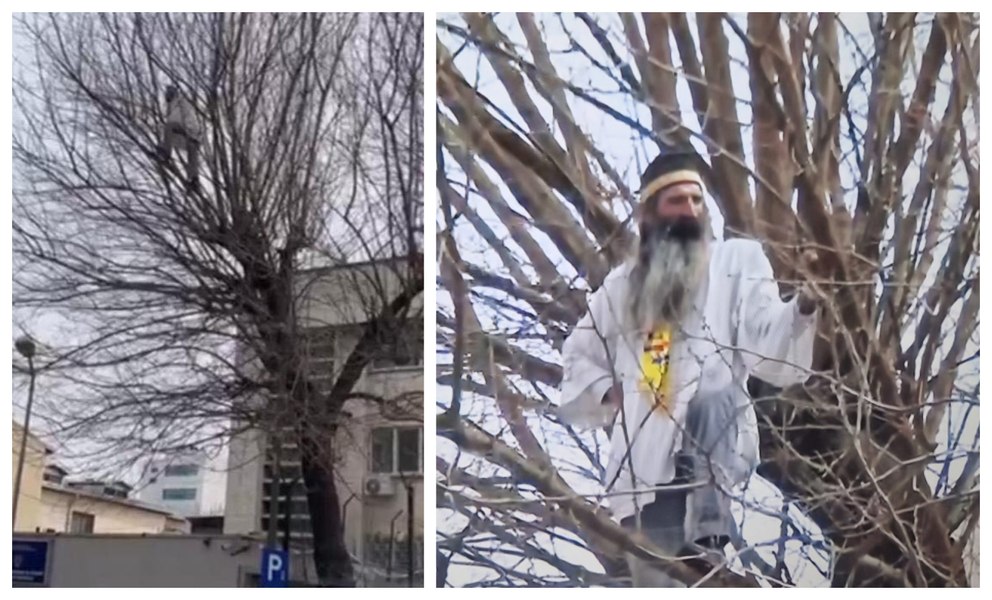 Stegarul dac stă în copac de 24 de ore. A cântat „Un elefant se legăna”