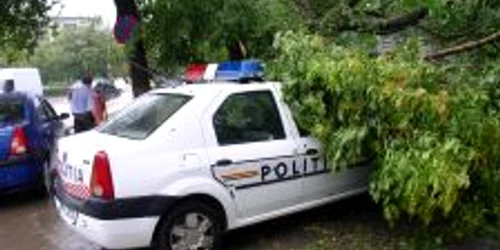 Printre maşinile peste care au căzut copaci se numără şi una de poliţie