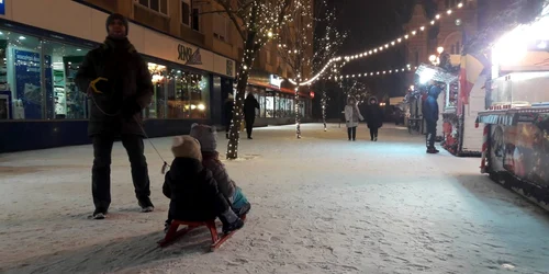 FOTO Prima ninsoare din 2019. Timişoara a îmbrăcat din nou haine albe