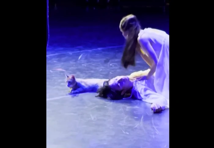 O pisică a urcat pe scenă în timpul unei reprezentații a „Romeo și Julieta”. FOTO: Captură Video