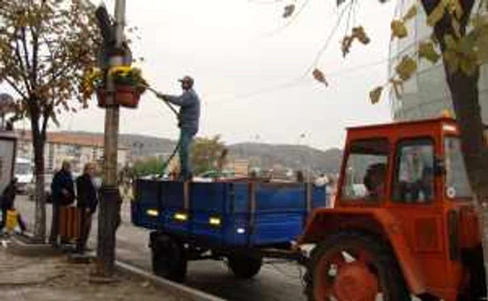 Se uda florile, dupa ploaie