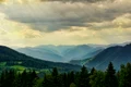 nature 3616194 1280 jpg