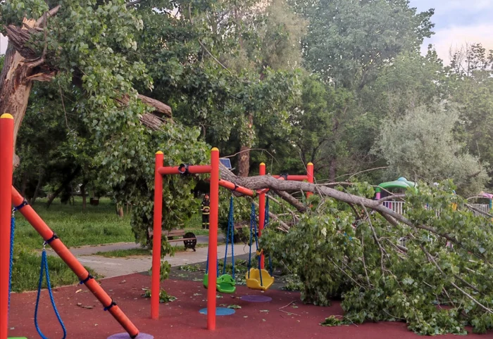 VIDEO Copac prăbușit peste un loc de joacă din Parcul Tineretului: Un copil a fost la un pas de tragedie
