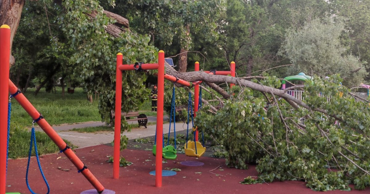 Copac căzut peste un loc de joacă din Parcul Tineretului: Un copil, la un pas de pericol