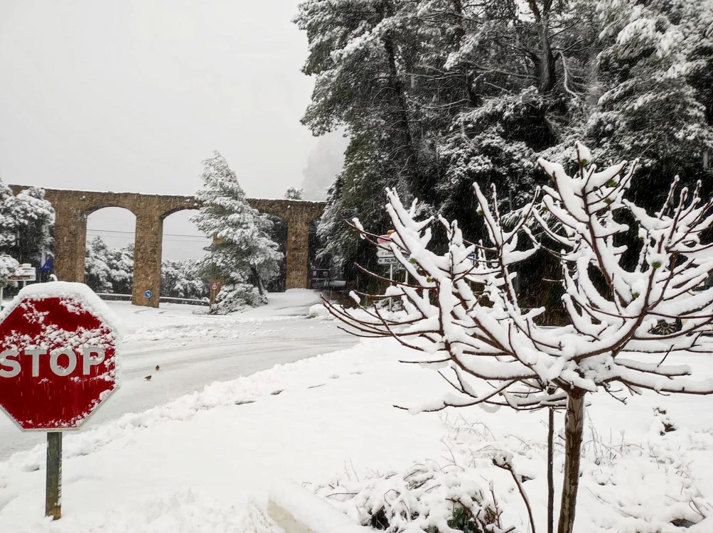 Insula Mallorca, acoperită de un strat gros de zăpadă FOTO Twitter