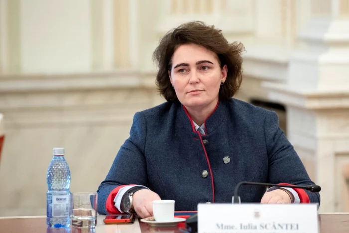 Iulia Scântei, preşedinta Comisiei juridice din Senat. FOTO Facebook Iulia Scântei