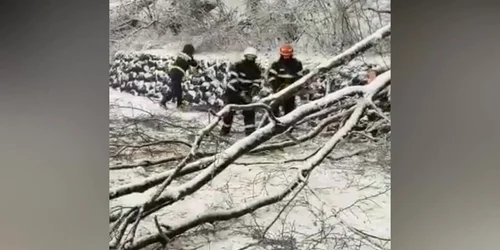 5c165407df52022f758a078d jpg