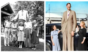 BeFunky collage (78) jpg