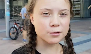 Efectul Thunberg jpeg