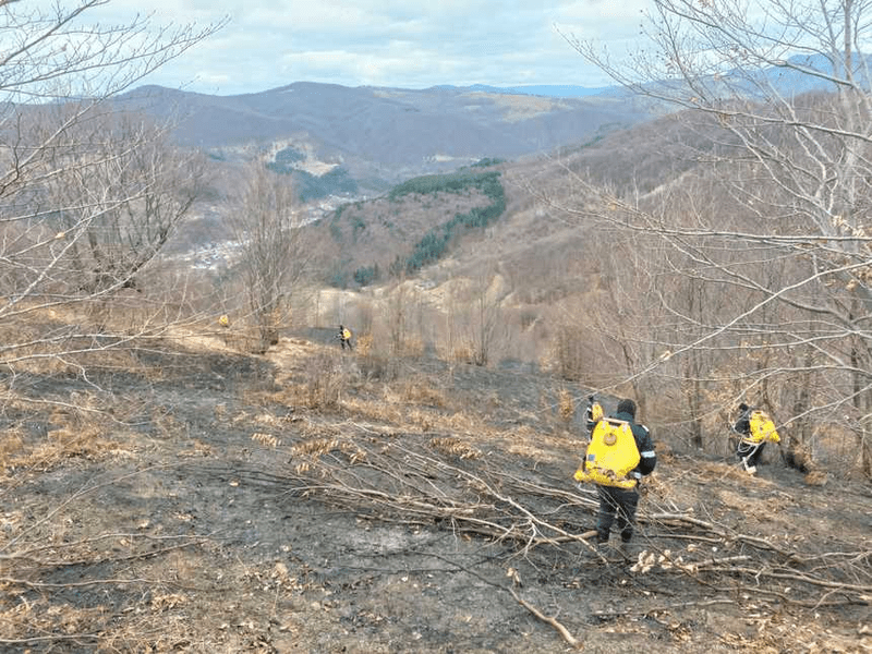 Incendiu devastator în pădurea de la Slănic Moldova. Pompierii s-au luptat mai bine de o zi ca să stingă flăcările