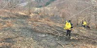 incendiu slanic jpg