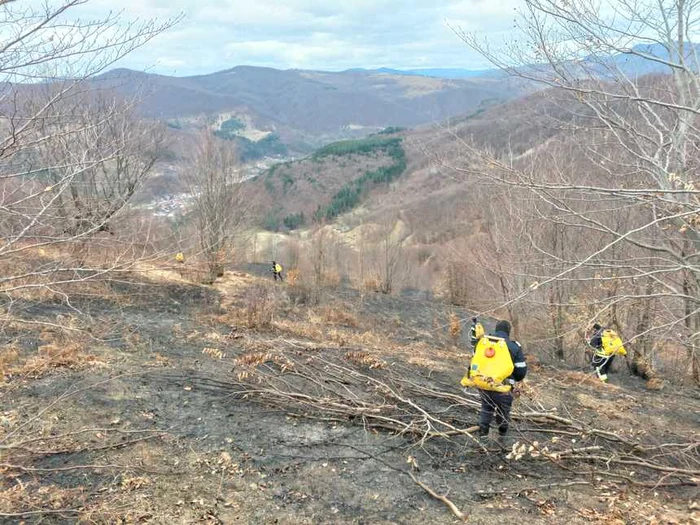 Incendiul a fost lichidat după mai bine de o zi de luptă cu flăcările FOTO ISU Bacău