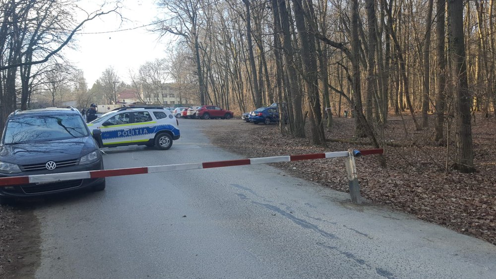 Locuitorii din cartierul Greenfield protestează în fața Primăriei Capitalei. Ce nemulțumiri au