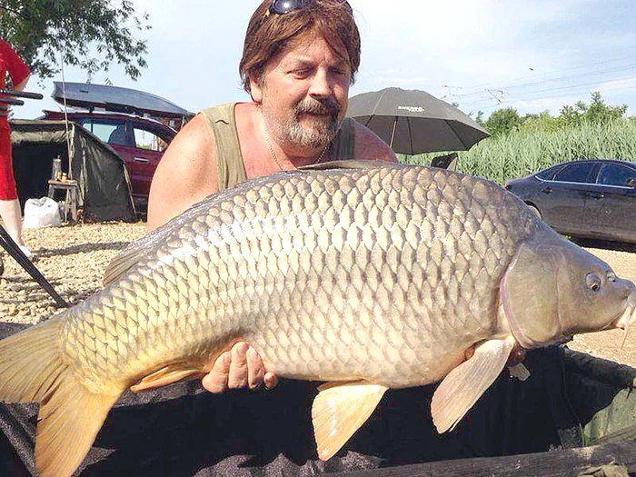 “Monstrul” de peste 21 kg a fost prins în vara anului trecut