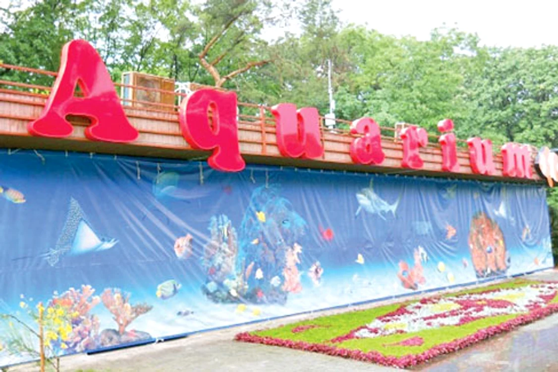 Acvariul e amplasat în apropierea Expo Flora  din Parcul Herăstrău