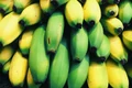 bananas 1836459 1280 jpg