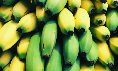 bananas 1836459 1280 jpg