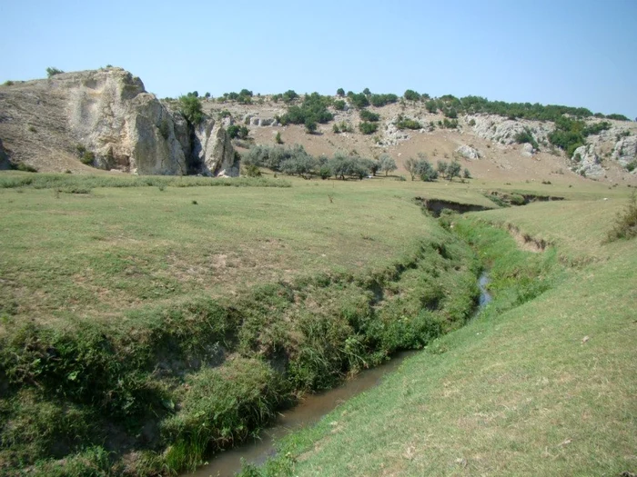 Cheile Dobrogei FOTO Calin Gavrilaş