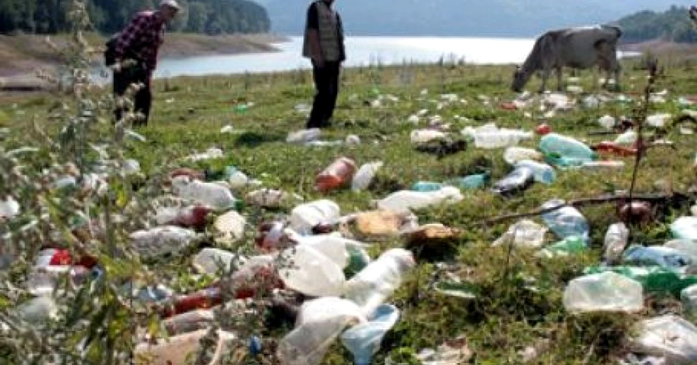 După ce a primit 100 lei pentru pet-uri, bărbatul a  constat că din casă i-au dispărut 1 700 lei