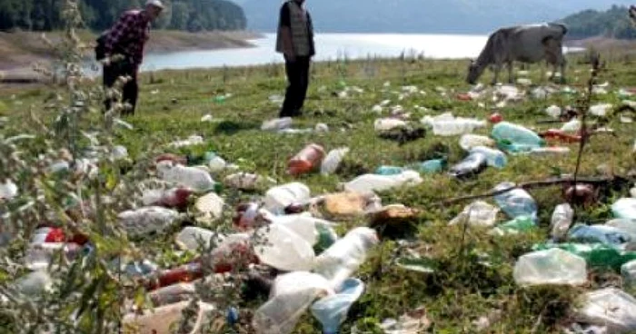 După ce a primit 100 lei pentru pet-uri, bărbatul a  constat că din casă i-au dispărut 1 700 lei