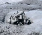 Vulcanii Noroioși, Foto Instagram