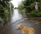 Furtuna tropicală Barry în Statele Unite ale Americii FOTO EPA-EFE