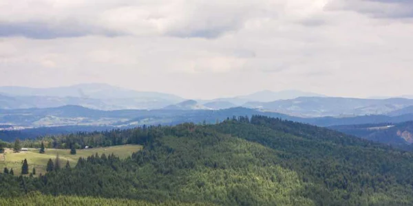 tihuta 1