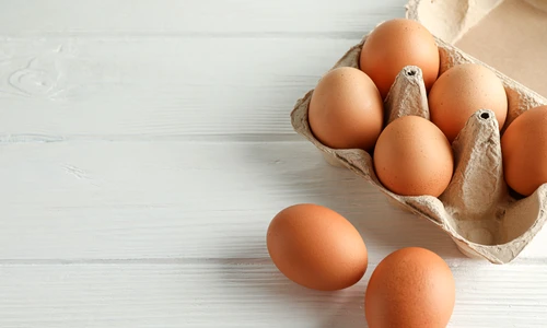 1 shutterstock 1417476386 jpg jpeg