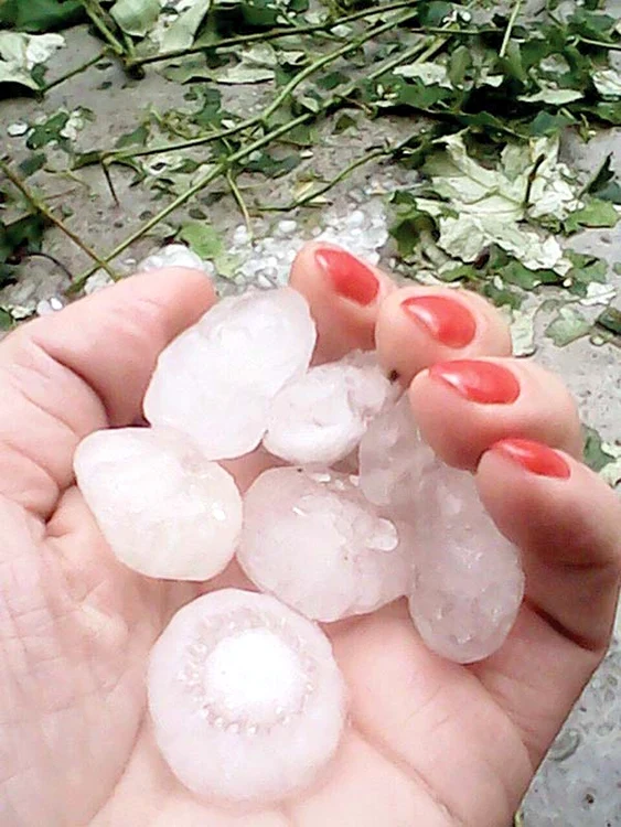 
    Prahova. Localnicii s-au mirat  de bulgării de gheaţă  adunaţi din gradinăFoto: Facebook, Cronica-gaestiului.ro  